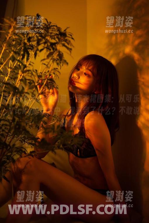 partycat轰趴猫 - 连衣裙图集：从可乐Vicky的照片中，我看到了什么？不敢说的秘密？