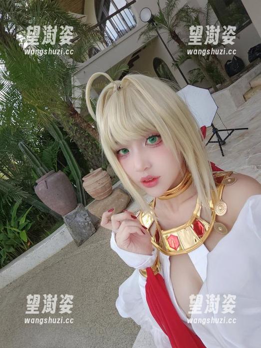 puypuy puypuy的ArtoriaLancer,免费图集,让你忍不住想赞啊!