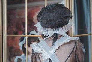 南鸽办公室瞬间：最新作品集，捕捉那一缕温暖的阳光