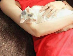 青豆客 – 看完易阳的内衣写真，我已无法再相信“内衣就是内衣”了，太有故事感了吧？